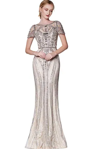 Cinderella Divine CK865 Dress