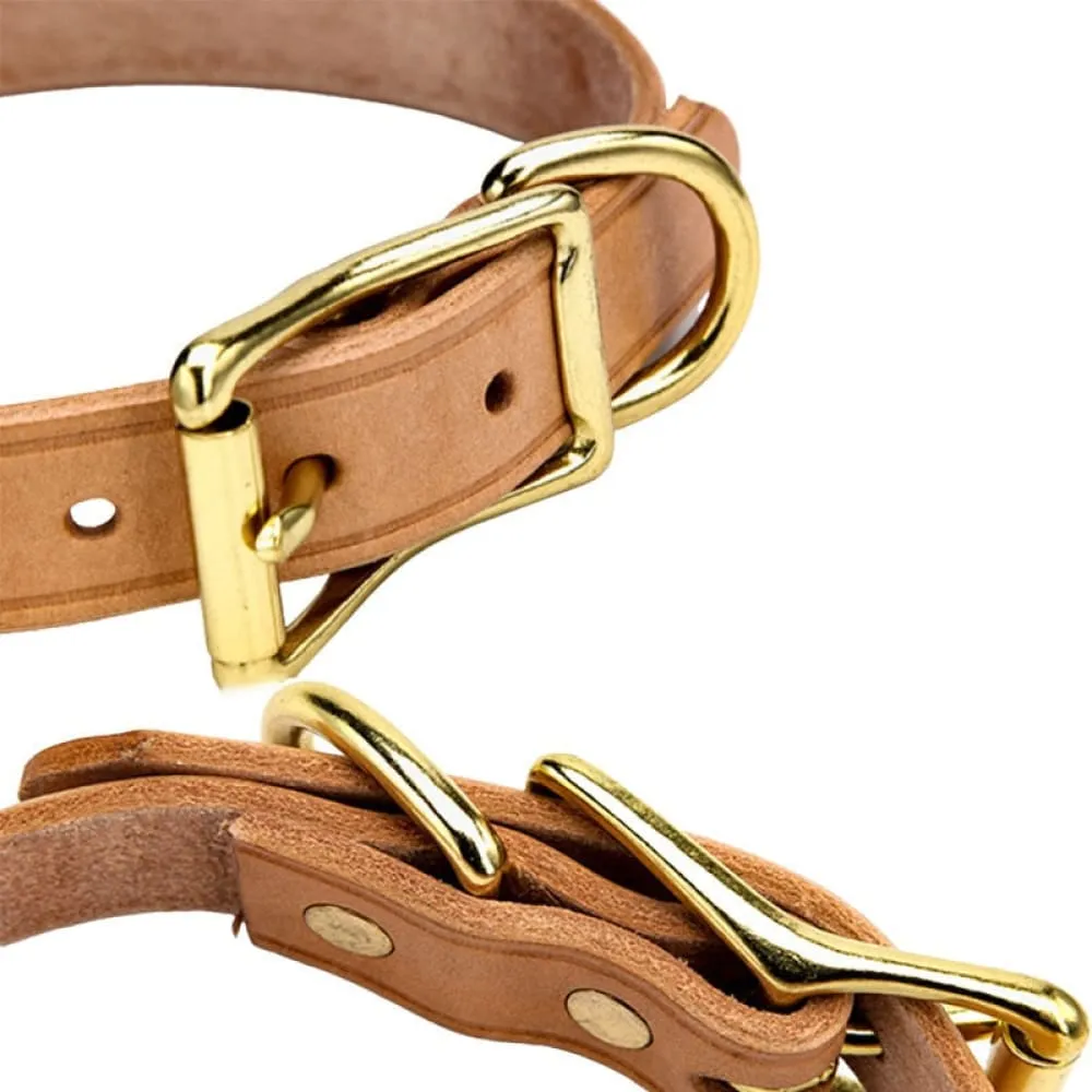 Comfortable Dog Neck Adjustable Collar