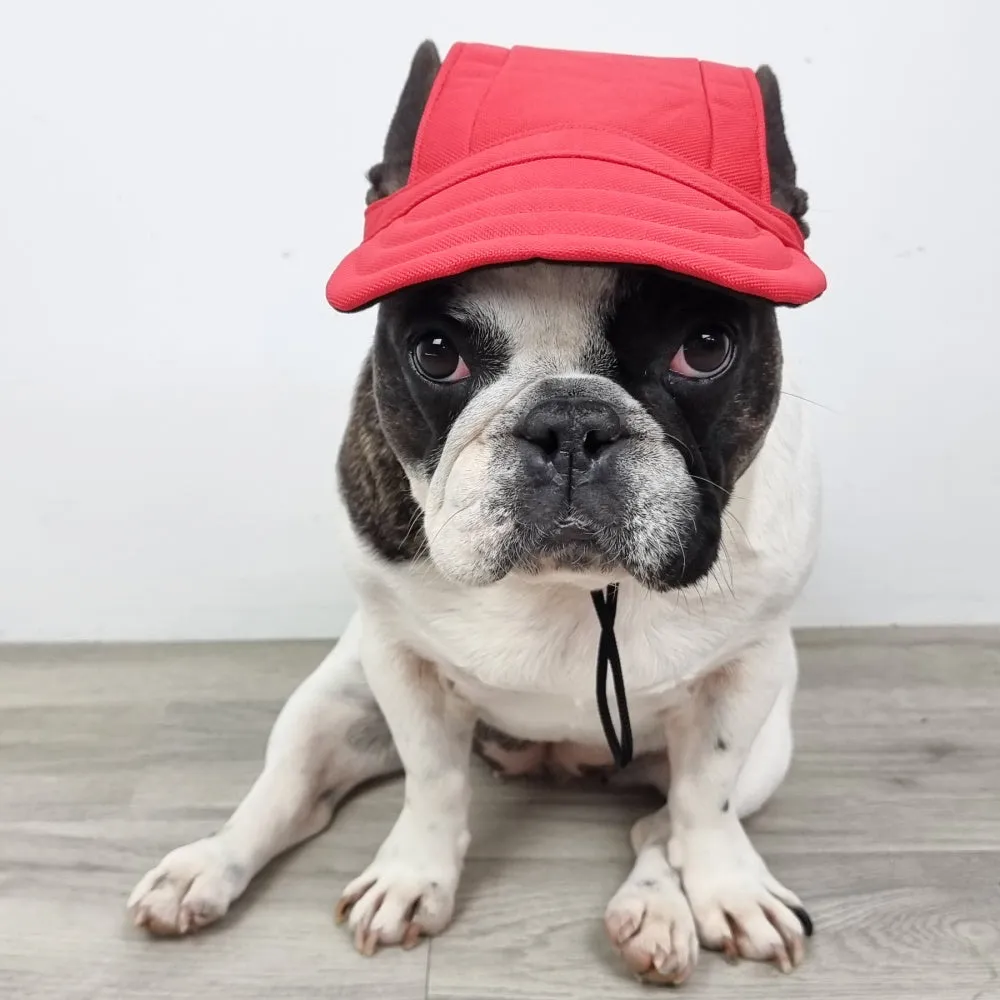 Dog Cap - Red
