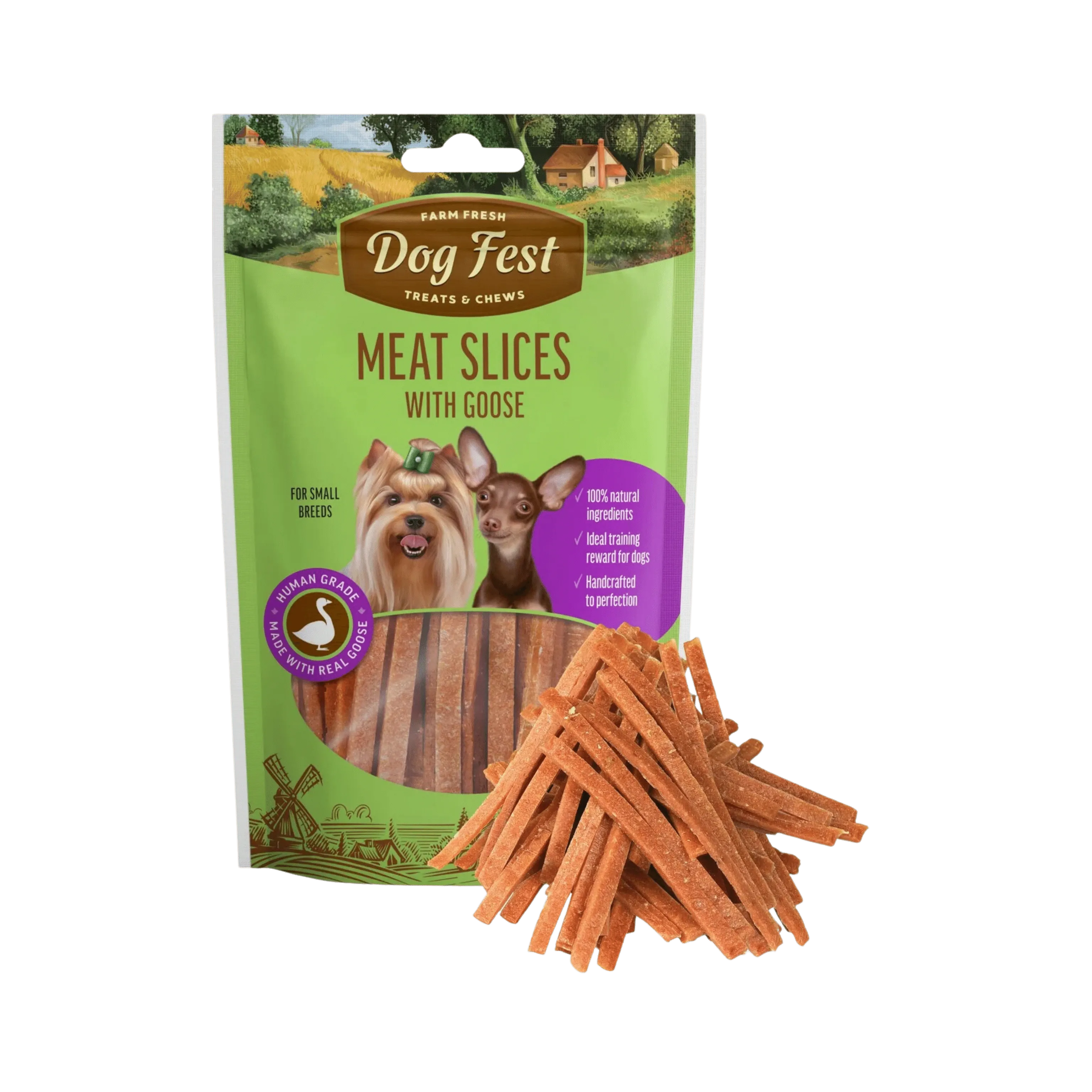 DOGFEST SLICE WITH GOOSE