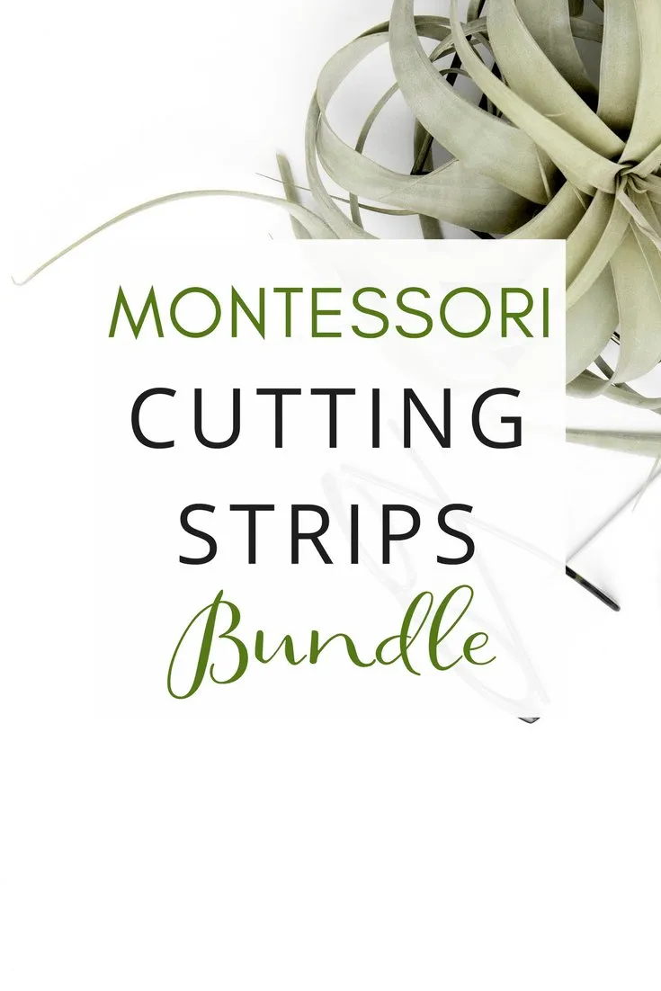 [Practical Life] Cutting Strips Bundle