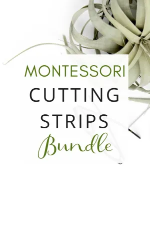 [Practical Life] Cutting Strips Bundle