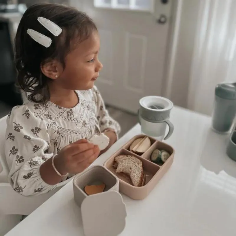 Small Silicone Sealed Snack Box