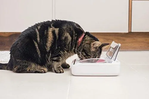 Sureflap Surefeed Sealed Pet Bowl, White