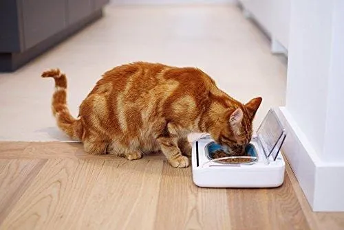 Sureflap Surefeed Sealed Pet Bowl, White