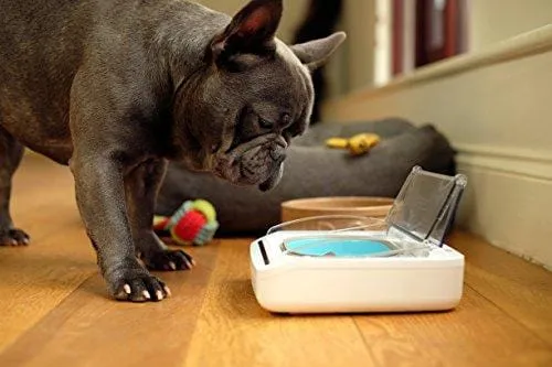 Sureflap Surefeed Sealed Pet Bowl, White