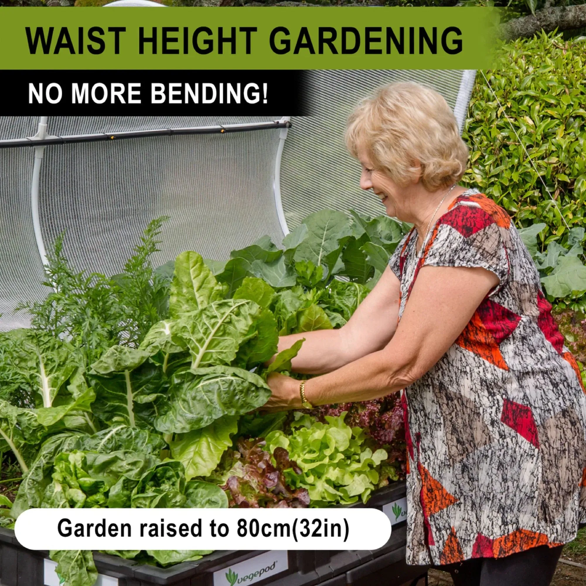 Vegepod Stand No Wheels Large